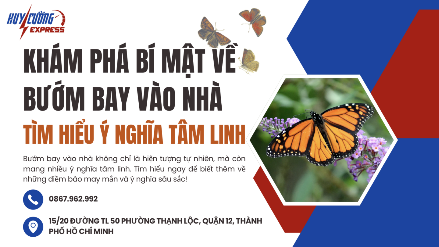 Bướm bay vào nhà - Ý nghĩa tâm linh và điềm báo may mắn